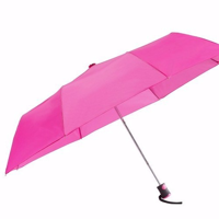 3 Section Auto Umbrella